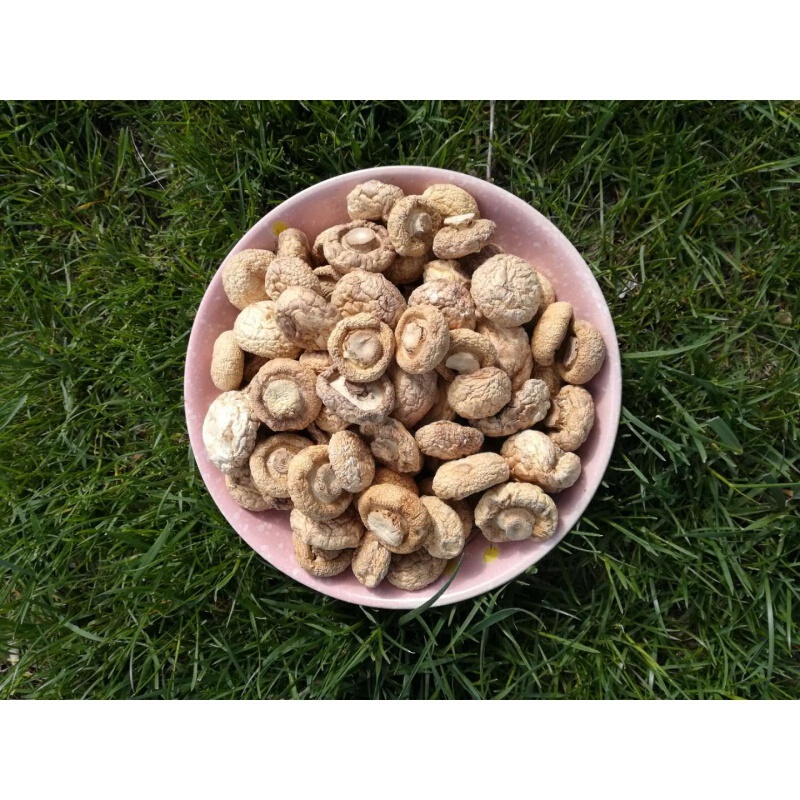 新疆土特产野蘑菇口蘑白蘑菌那拉提草原白蘑菇500克干