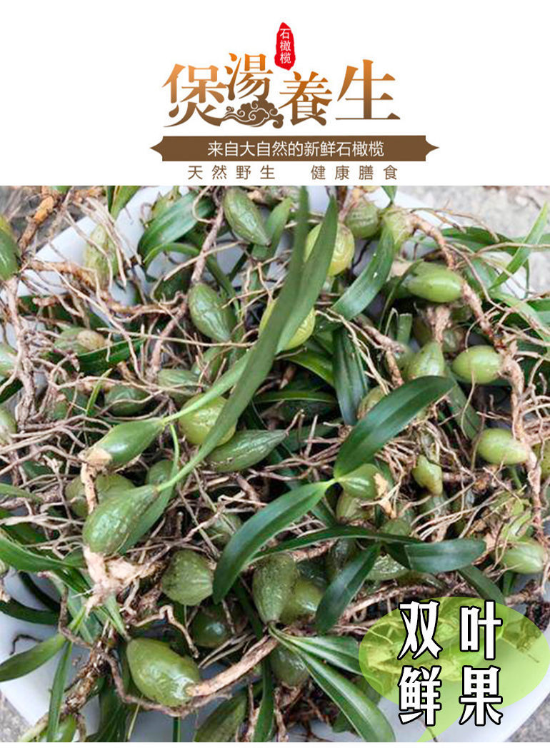 石橄榄新鲜双叶中号小号石仙桃盆栽煲汤泡茶滋补品 双叶中小号 250克