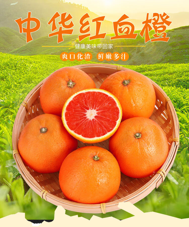 【橙中贵族】秭归血橙中华红肉脐橙新鲜橙子5/3/9斤单果100-300g 实惠