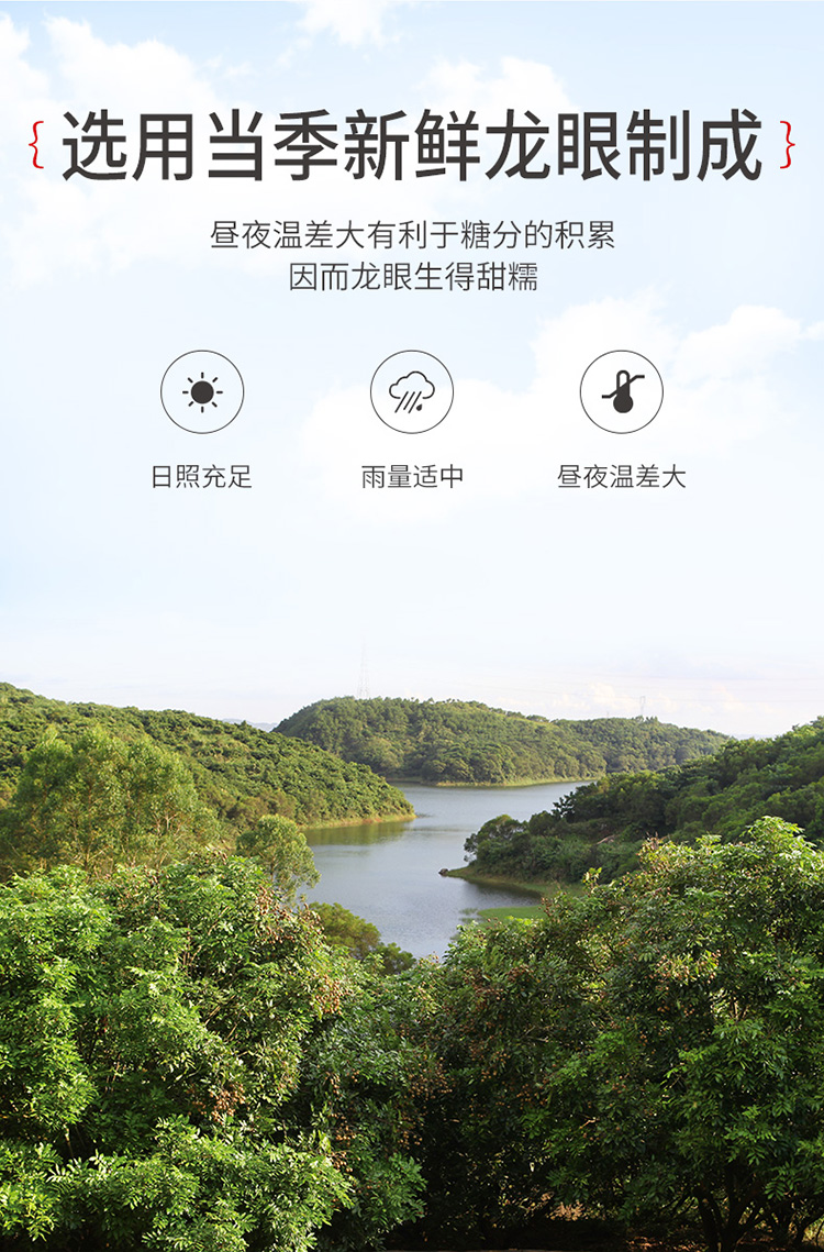 VAKADA 常温保存  桂圆干龙眼小核肉厚福建莆田特产桂圆肉干 正宗当季 500g
