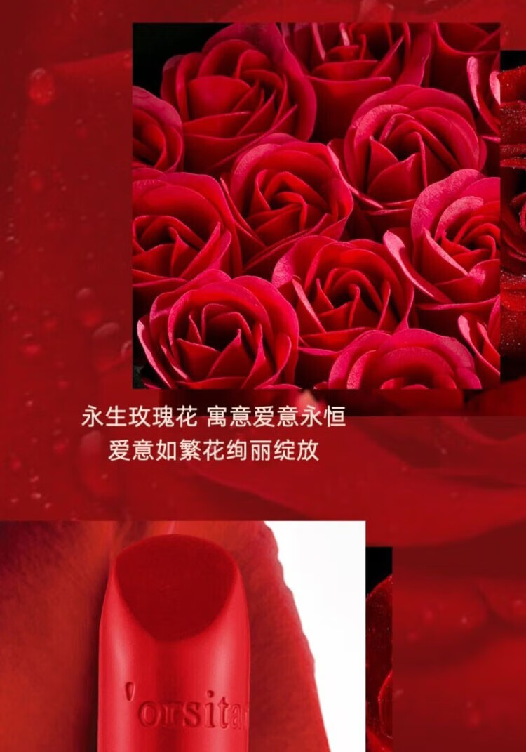 迪奥诗丹口红礼盒装防水不粘杯不脱色999送礼七夕520情人节礼物送女友母亲 #999哑光正红+永生花礼盒+礼品袋