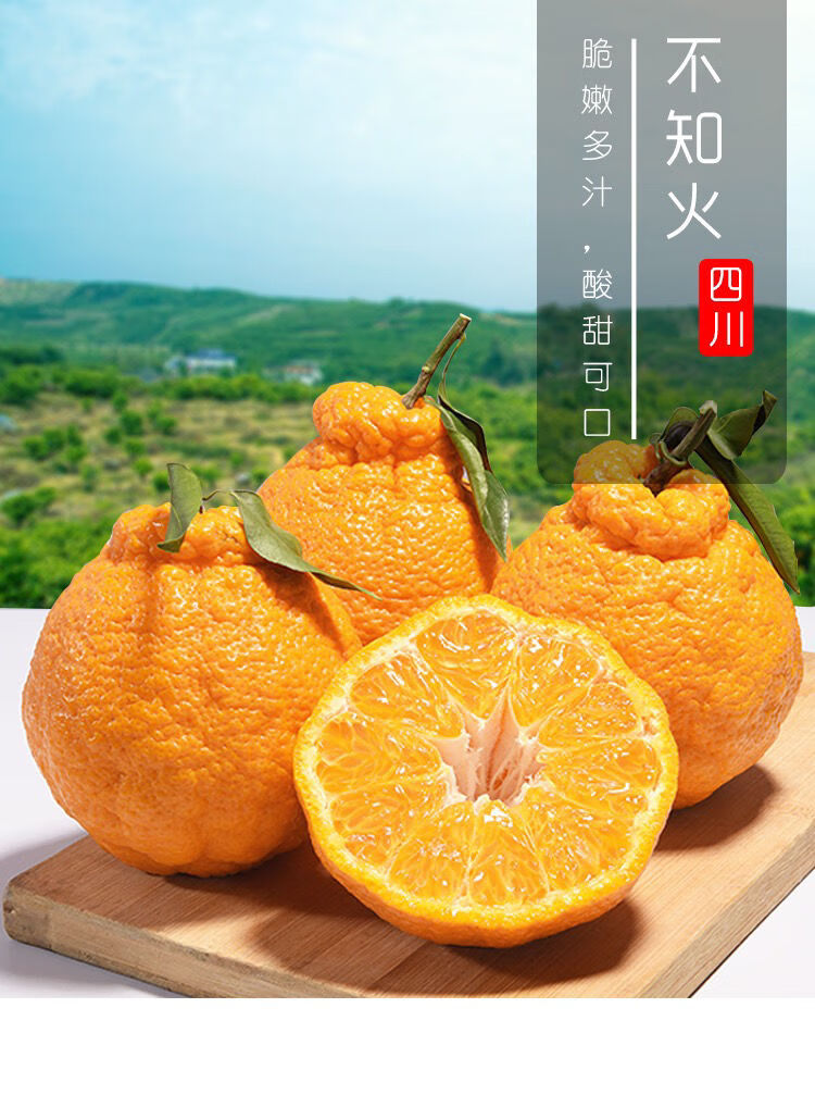 正宗四川不知火丑柑丑八怪桔子柑橘橘子新鲜 优选装 特大果【9.