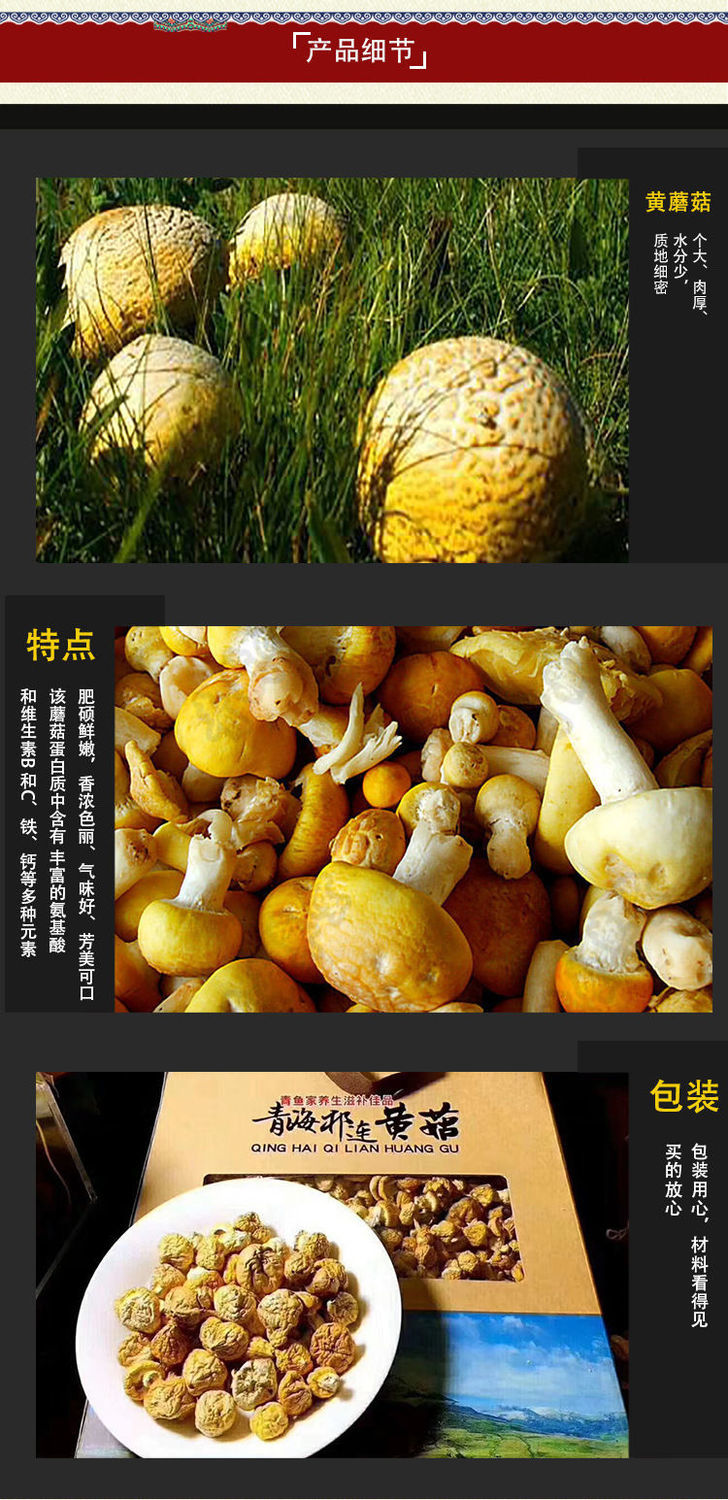 伟博黄蘑菇青海祁连山黄蘑菇高海拔藏区草原生长原生态青海黄蘑菇