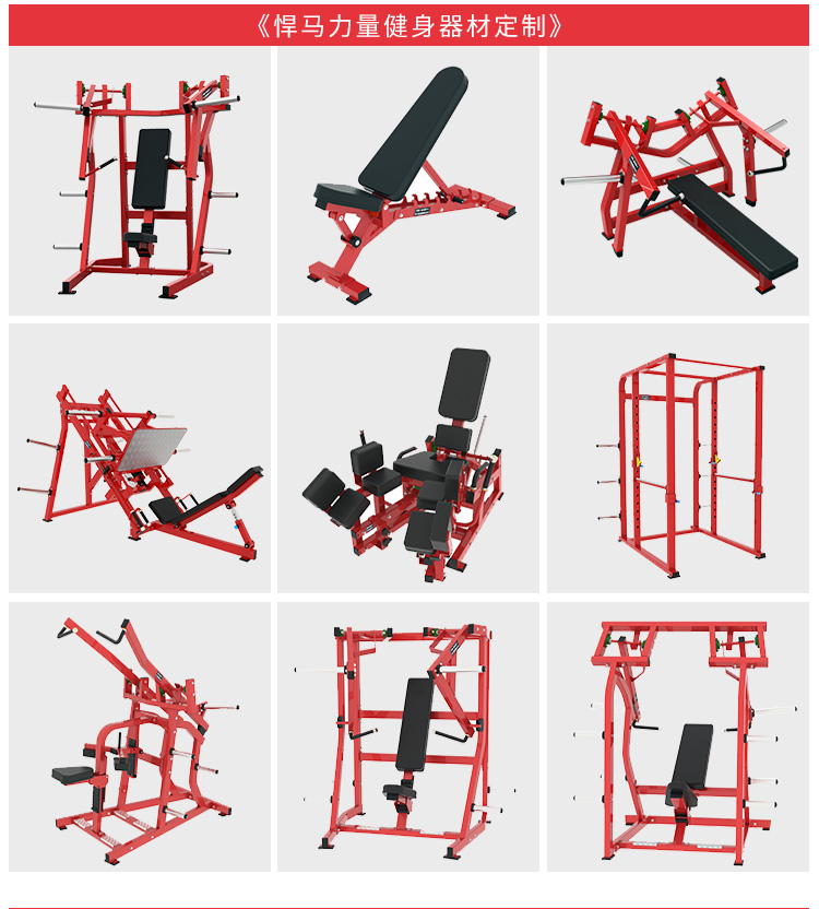 健身房商用大黄蜂推胸训练器械练背腿臀部高位下拉倒蹬机悍马器材 后