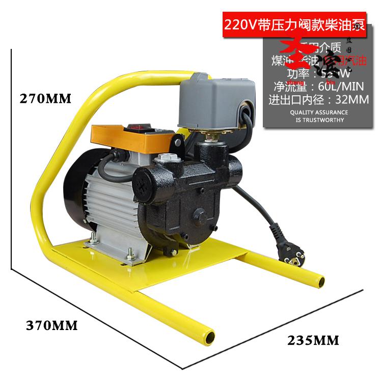 电动抽油泵12v24v220v汽油柴油加油泵车载防爆输油泵手提式抽油机wm