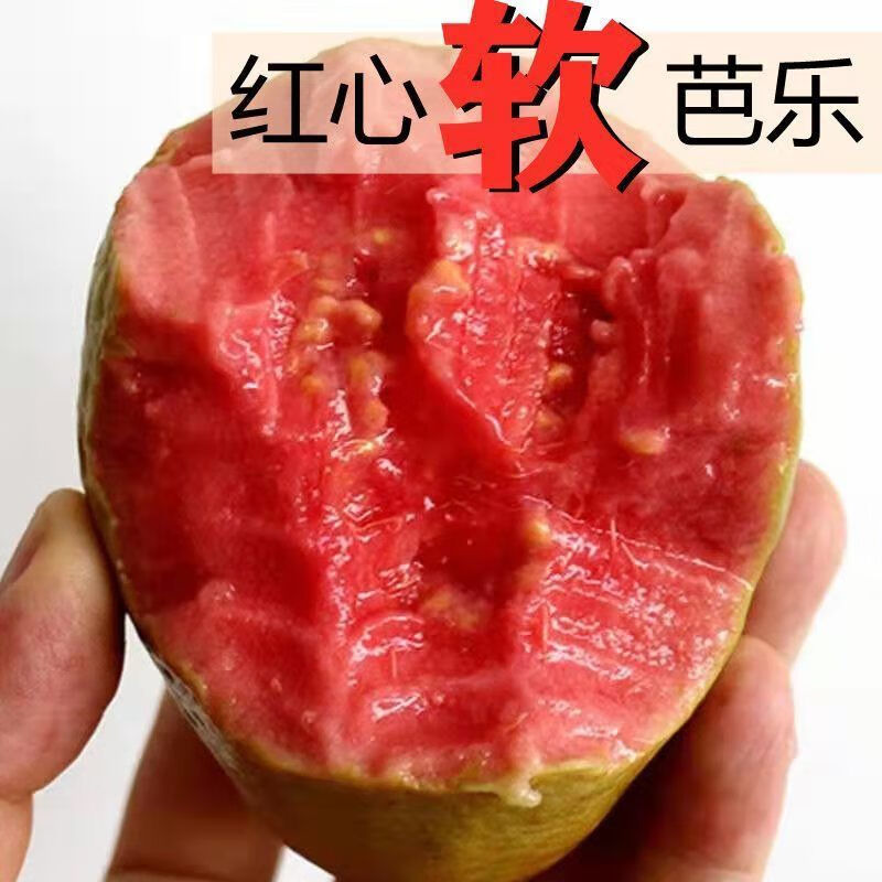软芭乐果5斤红心番石榴白心孕妇宝宝新鲜香甜 软香甜软心1斤红心
