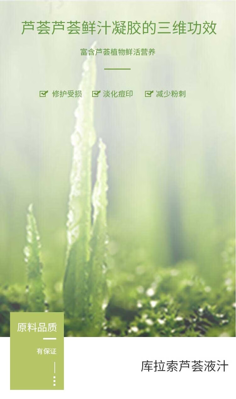 精心 协和医院祛痘精华霜粉刺痘印青春痘 点痘笔洗面奶高初中男女学生 【净豆洁面啫喱（青春痘 粉刺】