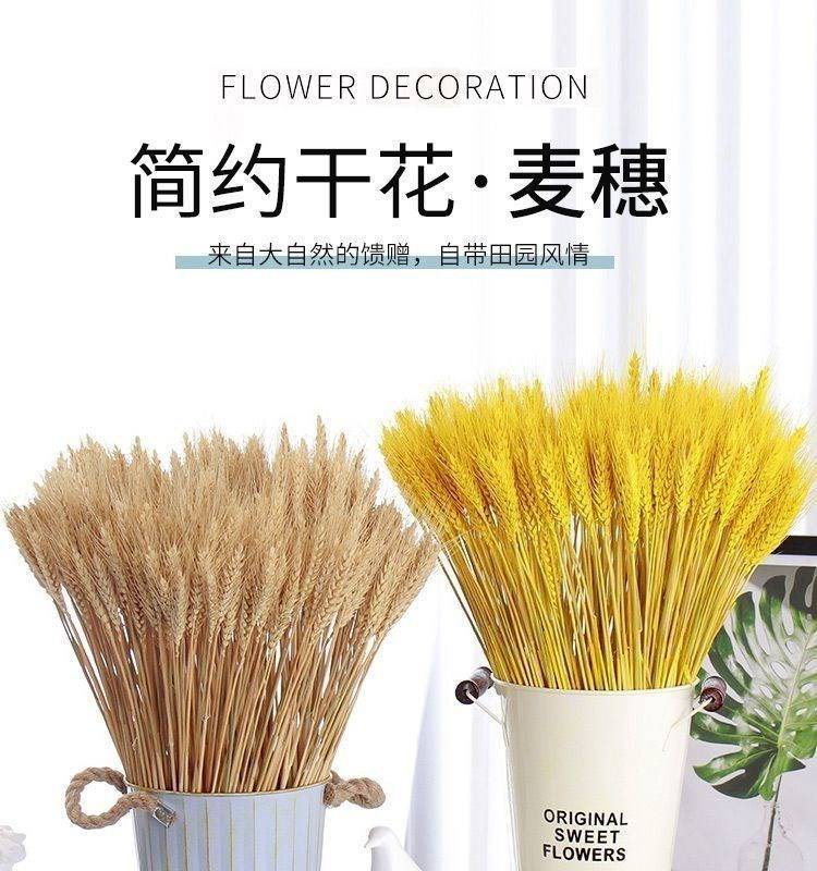 麦穗干花 天然麦穗干花束开业大麦花篮送礼乔迁庆典大卖(大花蓝套餐带