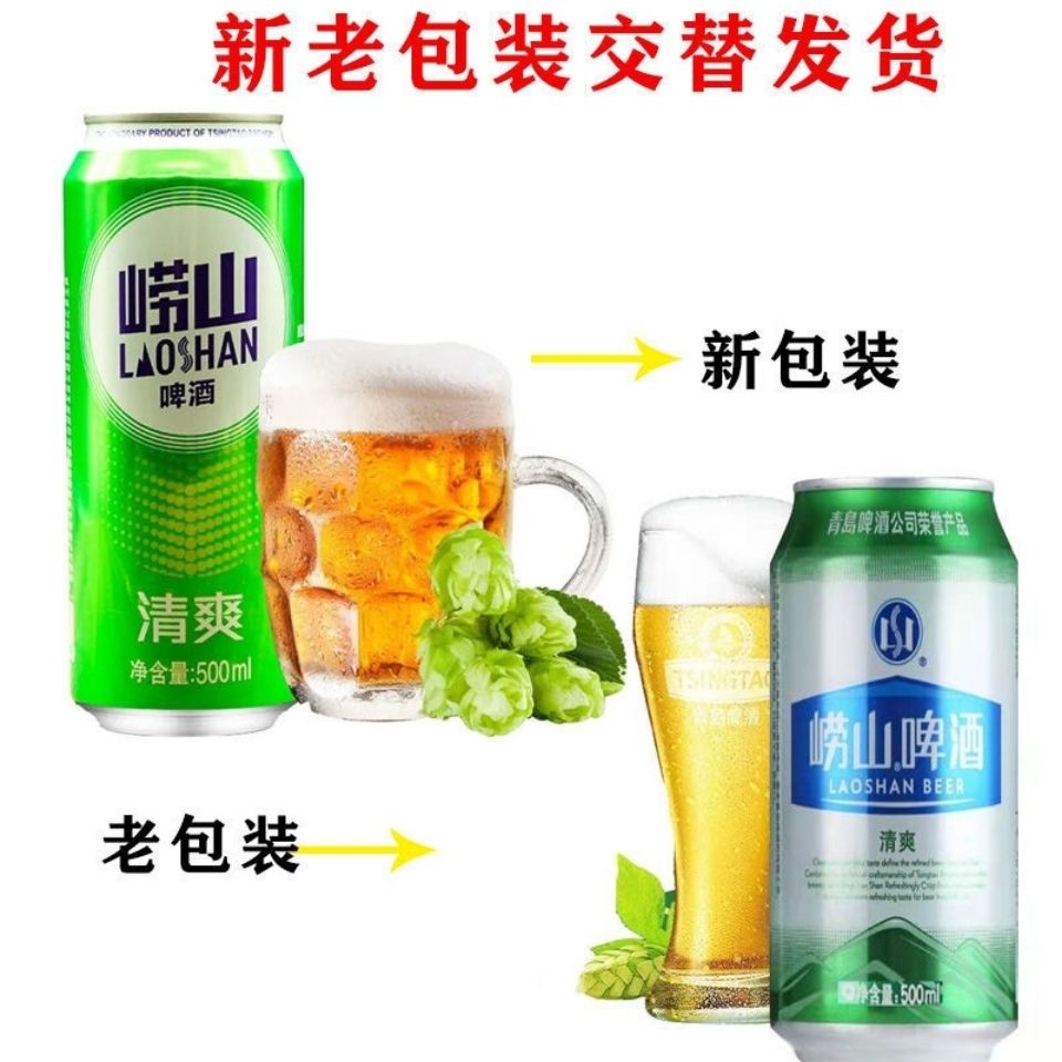 崂山啤酒易拉罐500ml12罐9月产崂山啤酒罐装易拉罐新老包装随机9月