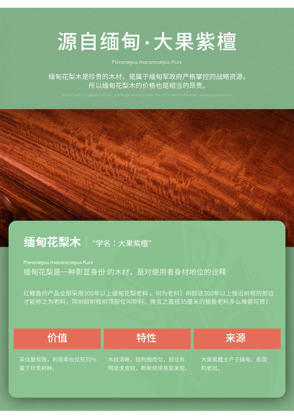 广典红木家具缅甸花梨（学名：大果紫檀）实木仿古典斗橱 客厅抽屉收纳柜子 国色天香斗柜 国色天香五斗柜