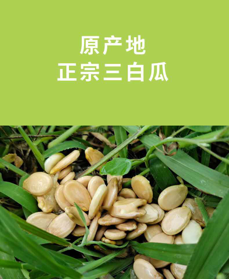 山西万荣三白瓜白西瓜白皮瓜白瓤低糖水果10-12斤单个装7月初发货