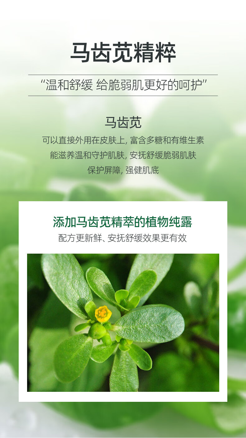 fUT马齿苋爽肤水补水喷雾舒缓敏易感肌泛红保湿敷护肤化妆水纯露男女 马齿苋纯露250ml