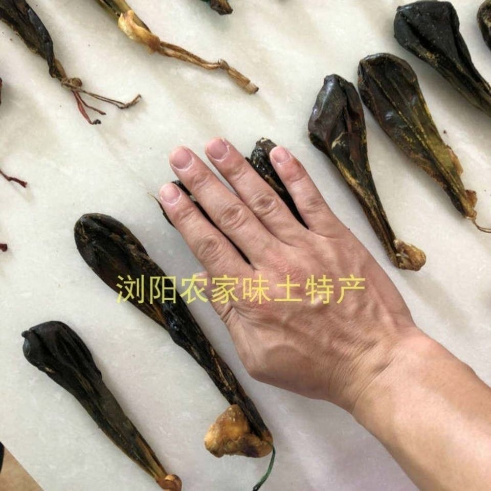 伟博中药材猪苦胆猪胆干自然阴干整个猪苦胆干猪胆粉带胆囊2个1个