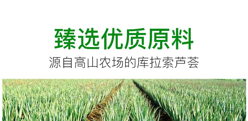 碧雅漫自然保湿芦荟胶涂抹式免洗补水收毛孔晒后修护男女通用 保湿芦荟胶40gX2支