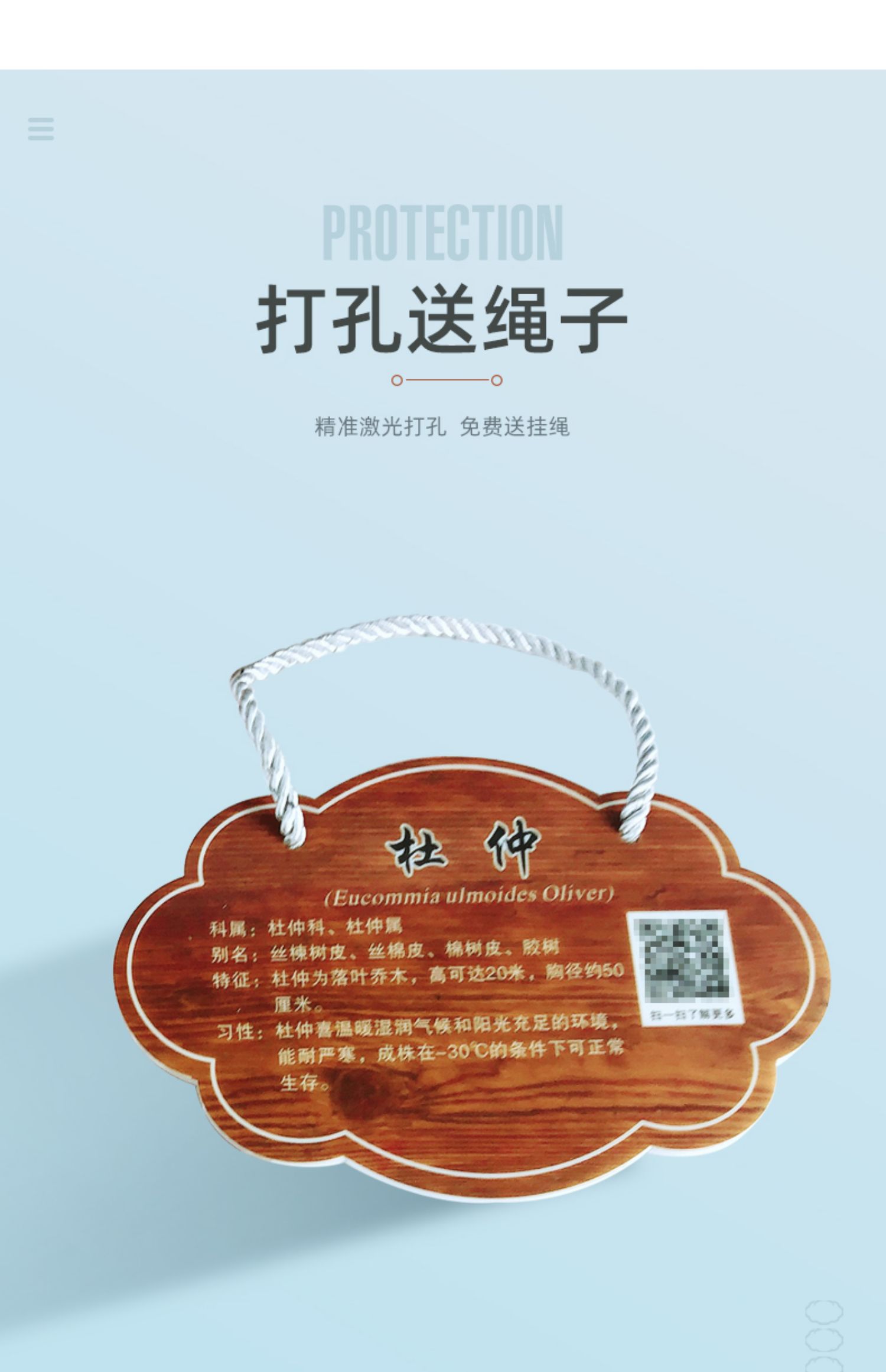 树牌挂牌定做 学校公园植树节树牌卡设计定制植物绿化信息牌树木介绍