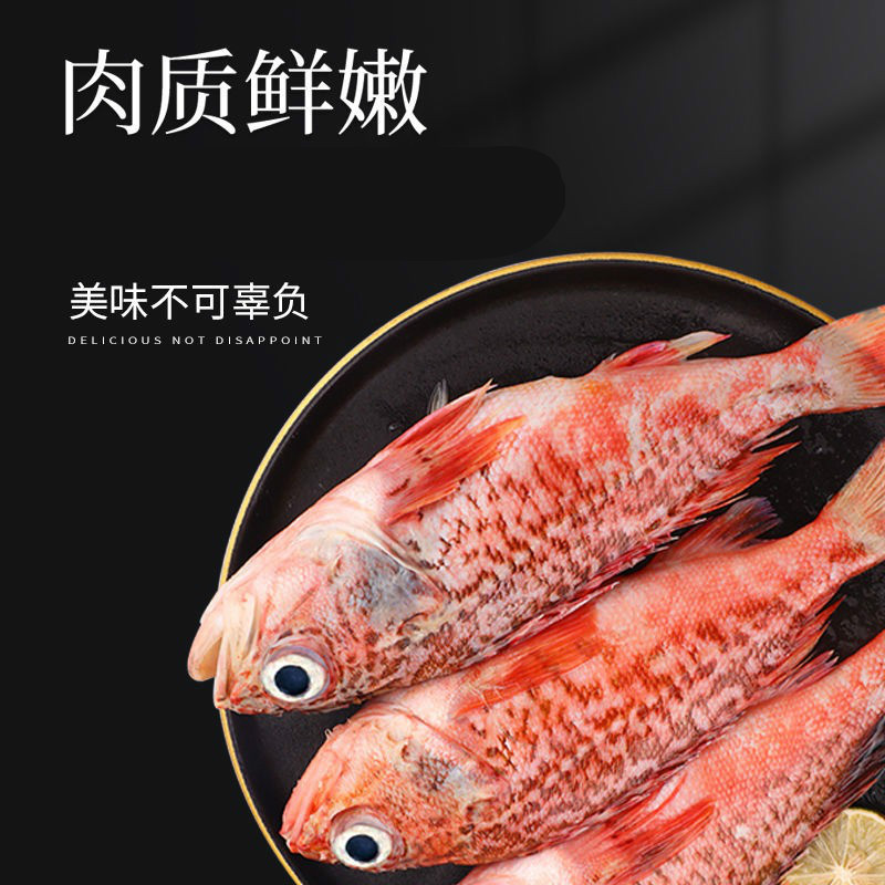 虎头斑鱼老虎斑鱼海鲜水产冷冻鱼肉海捕虎头斑买5斤3斤