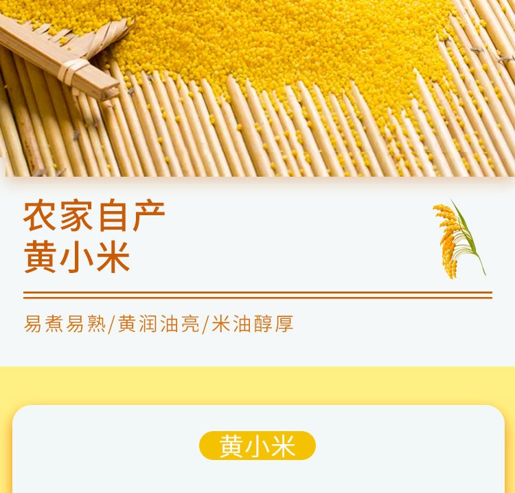黄小米 杂粮特产 2斤装