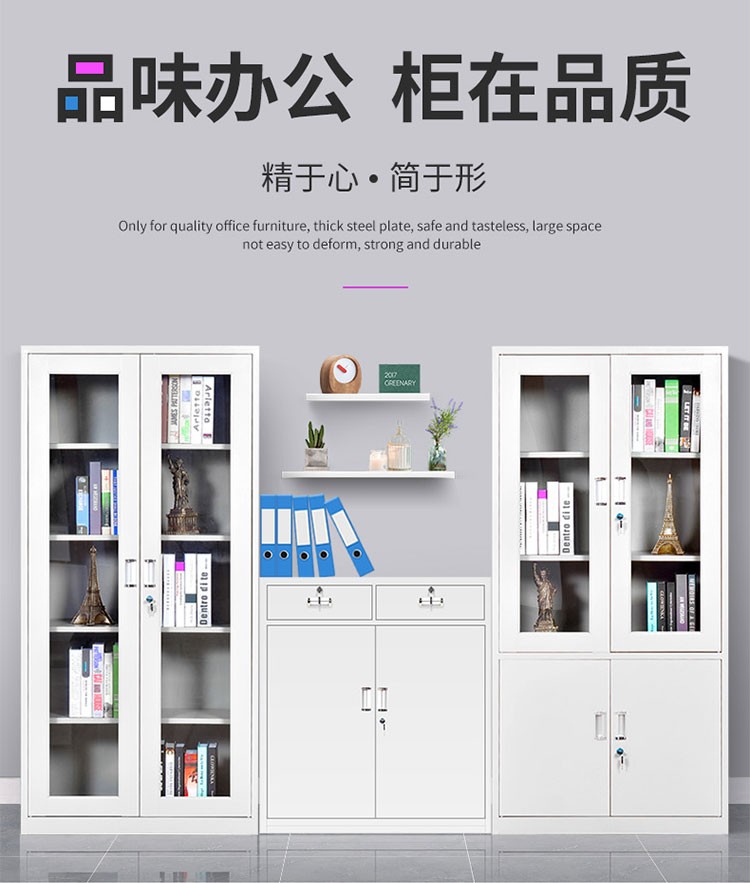 启盛恒文件柜办公柜钢制储物柜铁皮柜资料柜凭证柜档案柜带锁抽屉柜保险柜玻璃门柜子 大器械文件柜 经济型