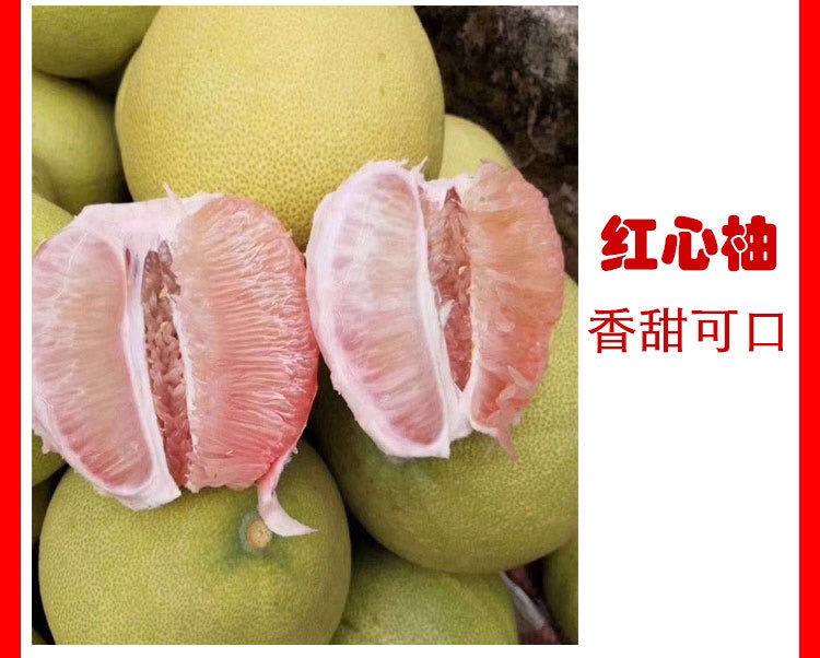 福建仙游度尾文旦柚红心柚子新鲜水果应季孕妇水果批发