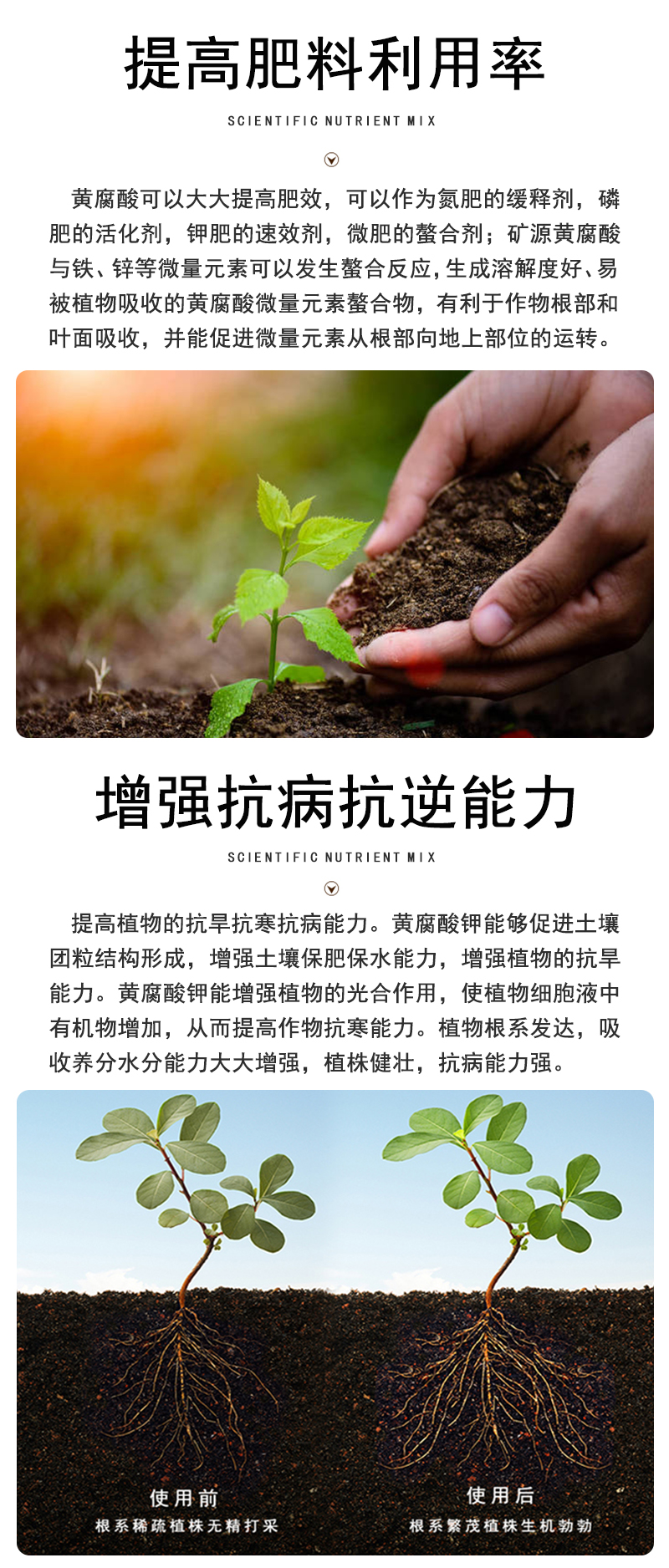 矿源黄腐酸钾水溶肥冲施肥腐植酸叶面肥农用果蔬微量素肥料 5袋5公斤