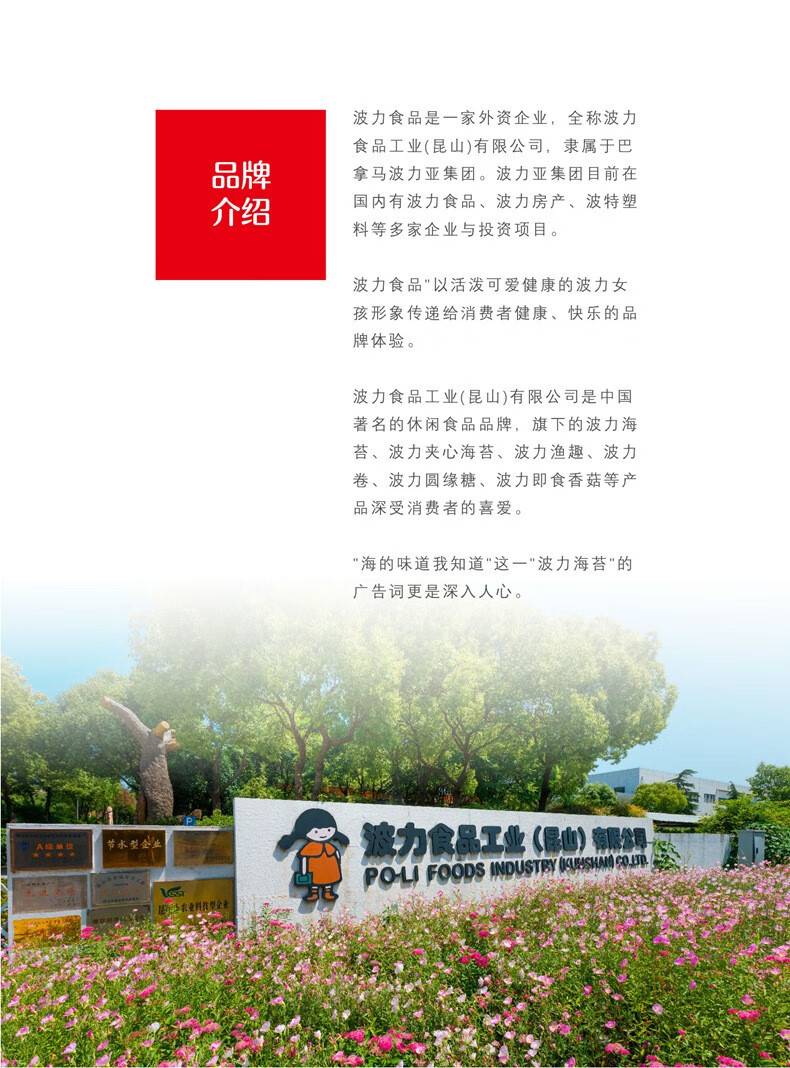 波力海苔 休闲零食 即食紫菜脆片 非油炸原味儿童海苔 100克