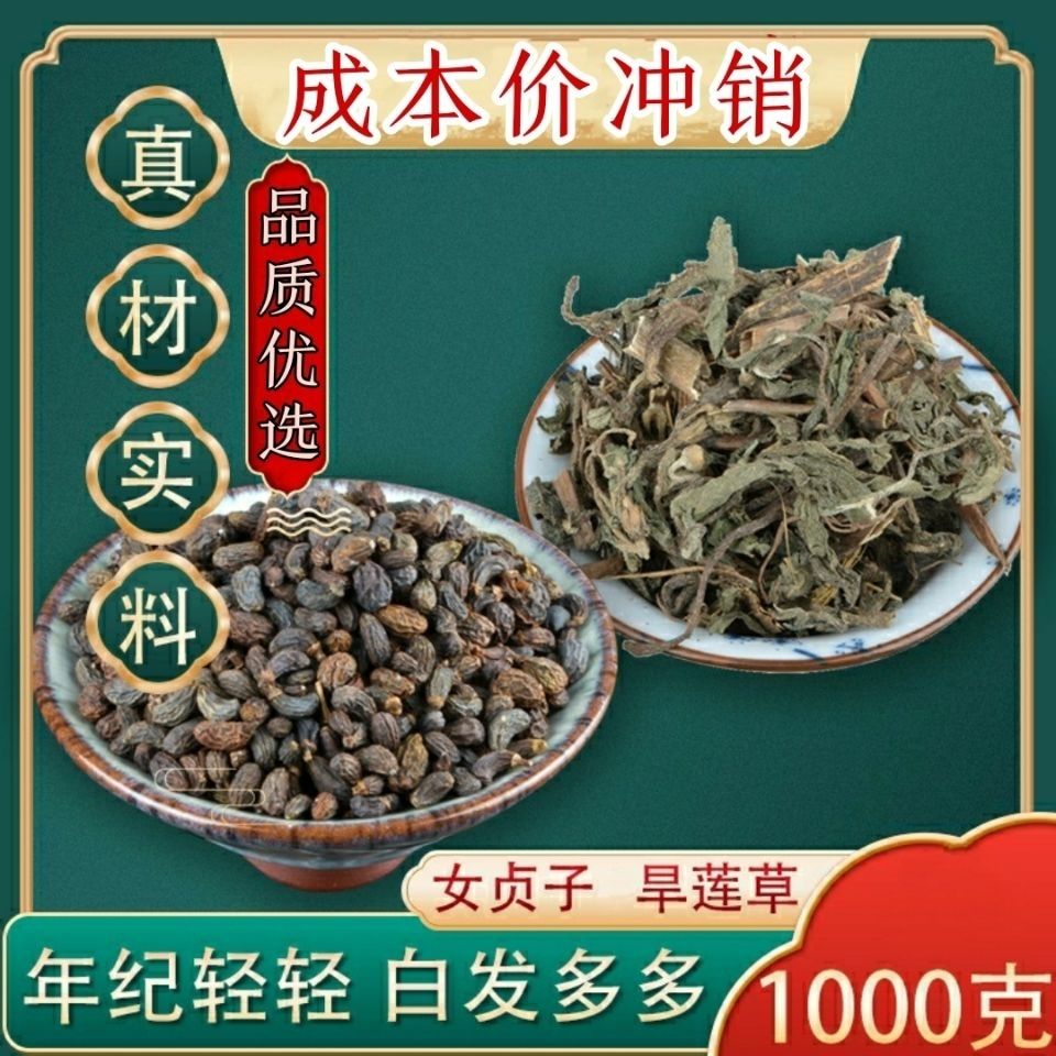 伟博中药材女贞子旱莲草组合女贞子药墨旱莲草药材泡茶乌发白发旱莲草