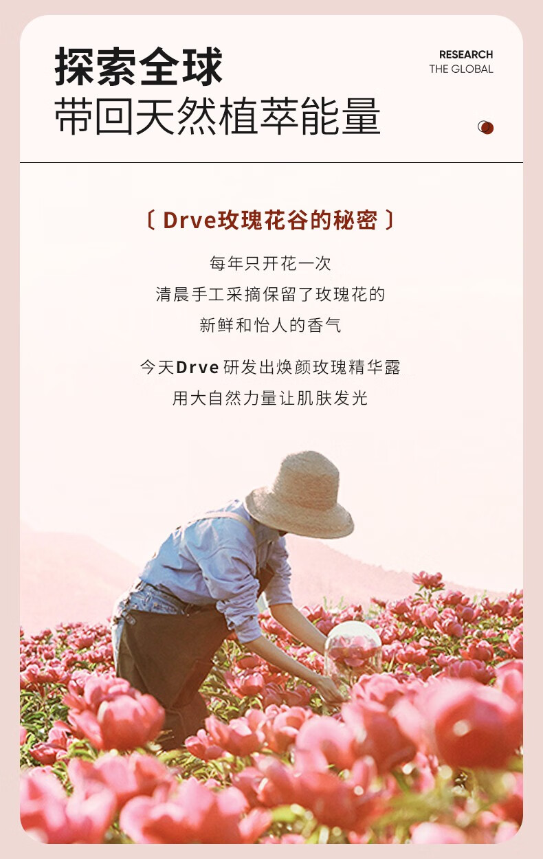 Drve 玫瑰精华水乳组合补水保湿控油改暗沉黑色素提亮修护紧致爽肤水 粉水120ml+精华乳120ml