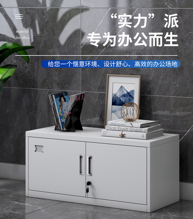 永苒 单节档案柜矮柜带隔板加厚资料柜文件柜阳台杂物储物柜带锁 四节档案柜 常规款