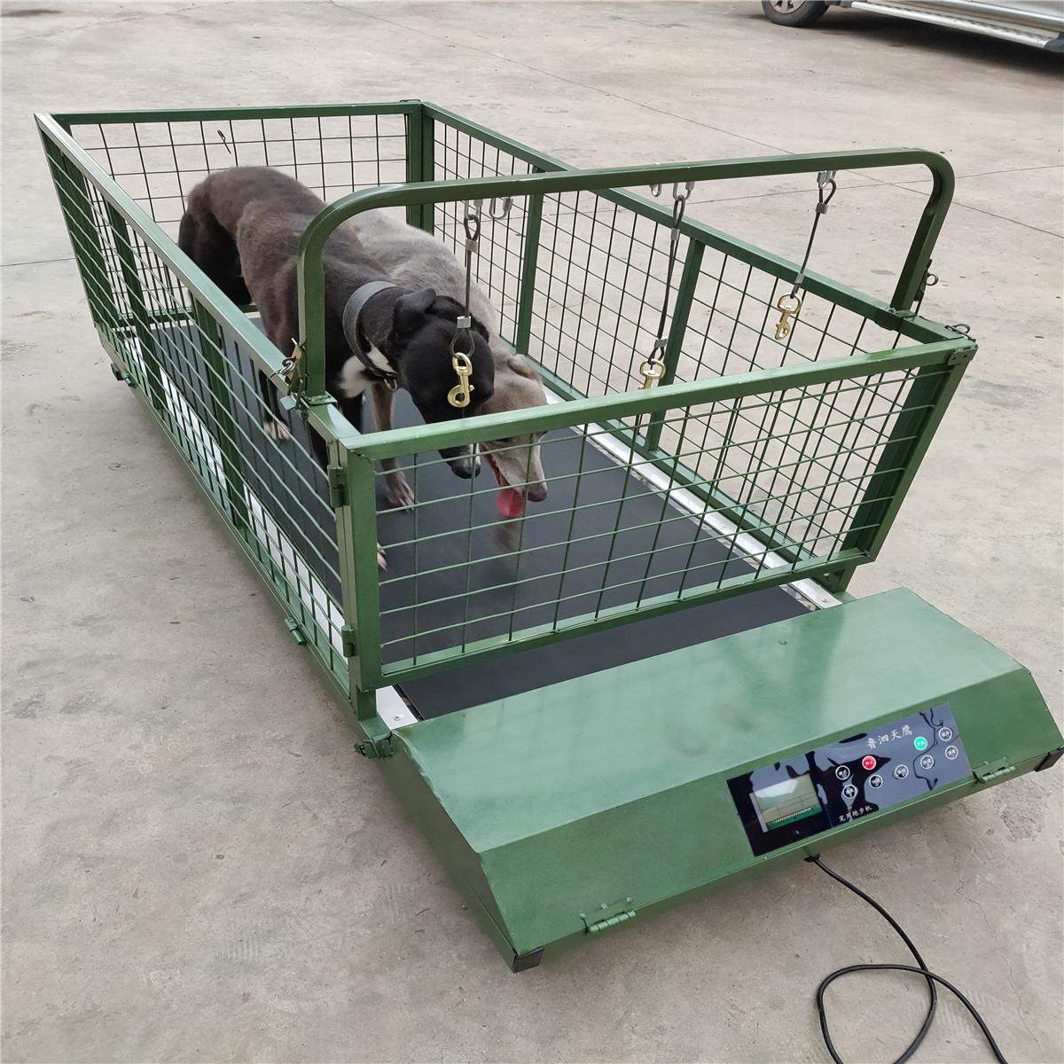 家用宠物跑步机犬用大型遛狗锻炼格力惠比特细狗动物