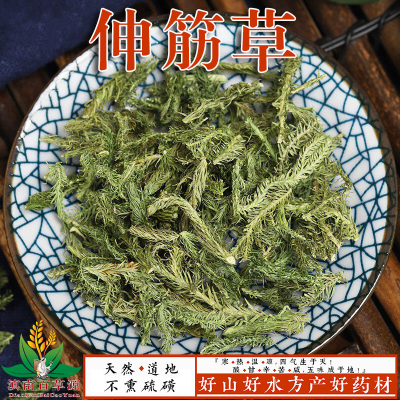 伟博伸筋草马尾伸筋草马尾千金草云南药材过山龙舒筋草筋骨草500克