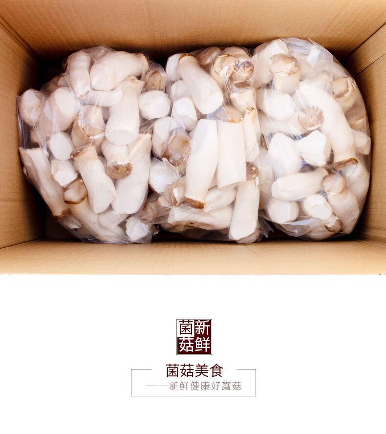 现摘235杏鲍菇新鲜鸡腿菇火锅料理蘑菇蔬菜菌菇批发2斤精品装1斤独立