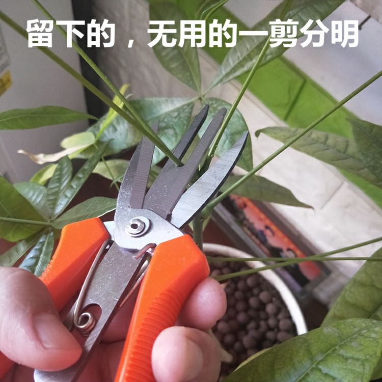 疏果疏花剪刀苹果疏果剪刀蔬果剪新型葡萄修果双口剪疏花疏果剪神器