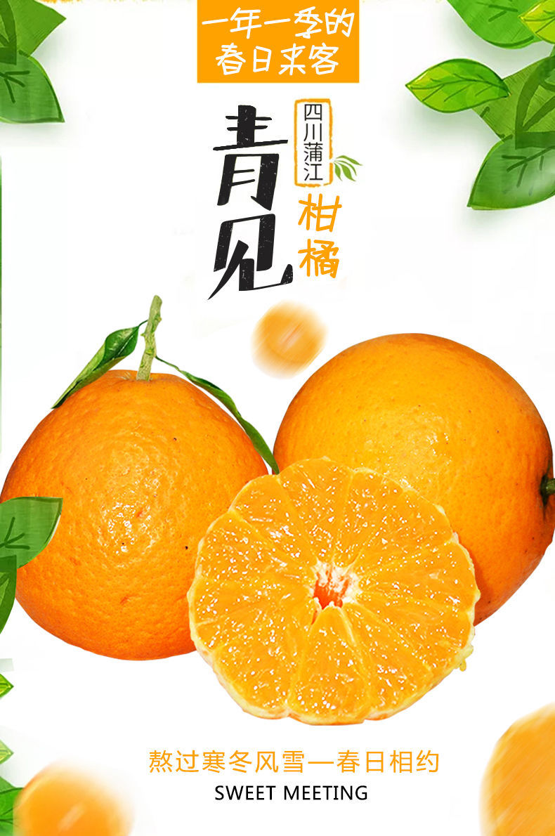 四川新鲜柑橘青见无籽果冻橙整箱桔子10斤 中果 3斤