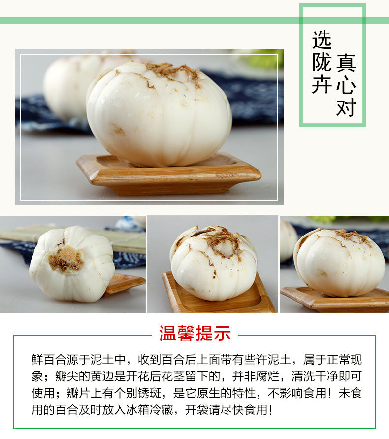 新挖兰州鲜百合兰州百合无硫天然食用甜白合口感粉糯产地直供 买1斤