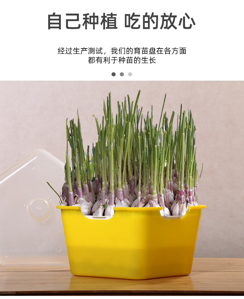新育苗神器水培育苗专用盘无土栽培纸上种植盆葱苗蒜苗芽苗菜托盘