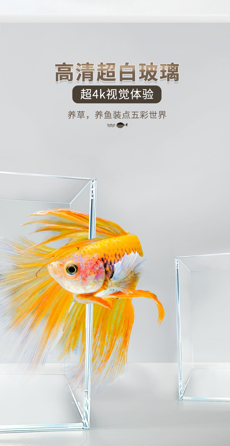 SEA STAR 超白鱼缸 超白玻璃水族箱 桌面客厅斗鱼乌龟缸草缸金鱼缸小型 150mm超白缸+过滤器