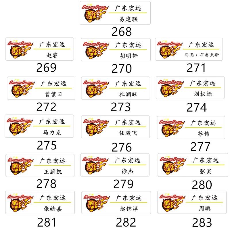 胡明轩赵睿广东宏远应援队徽胸针易建联苏伟周鹏团徽马力克周边2691枚