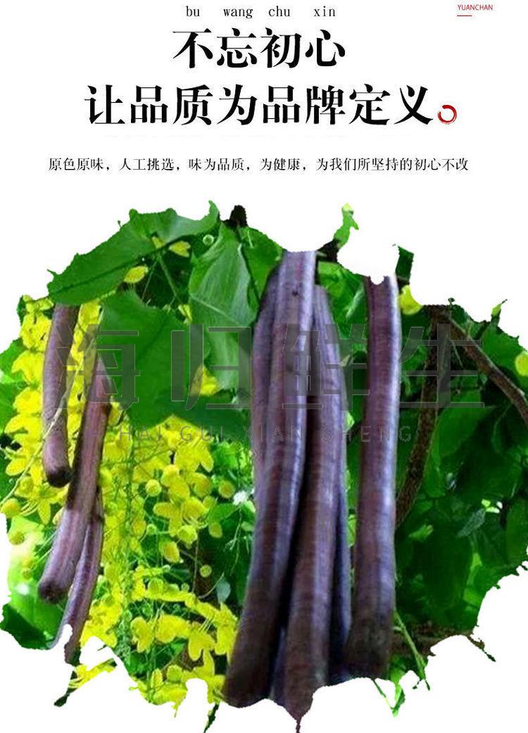 尼泊尔奇异果150g900g尼泊尔奇异果新鲜植物水果泡茶喝印度特产现货