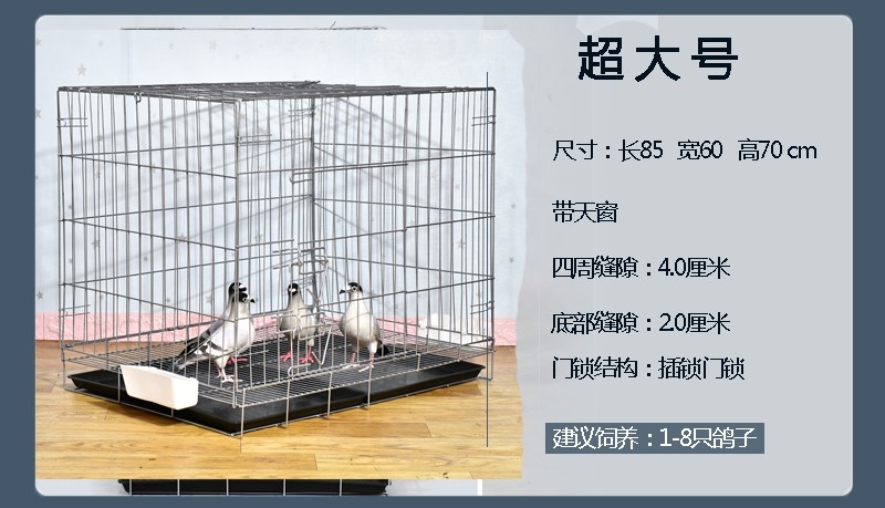 鸽笼特大号室外特大号超大别墅鸽子笼养殖笼配对笼不锈钢家用鸟笼大全
