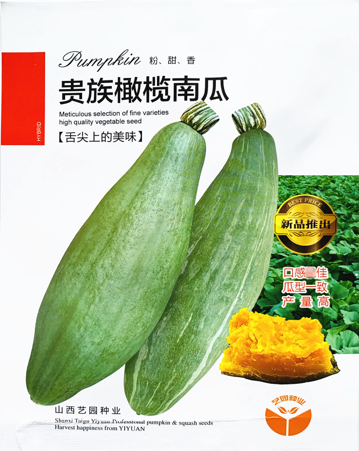 早熟甜蜜本南瓜种子华蜜秘本密本南瓜种籽粉糯面春季四季蔬菜种孑