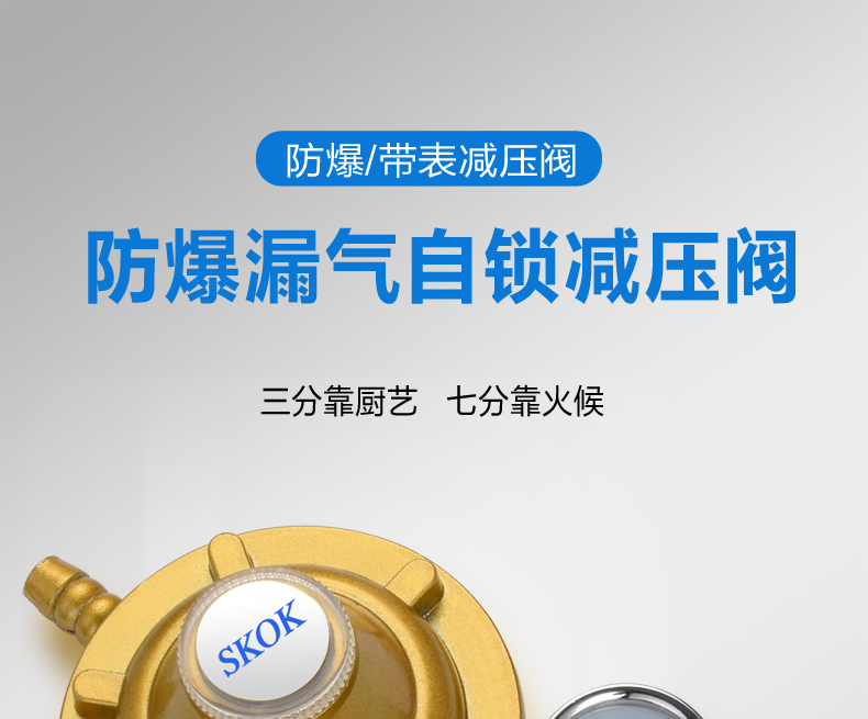SKOK家用煤气灶低压阀门带表显减压阀煤气瓶罐装液化石油气调压器配件 家用防爆钢丝管-5米