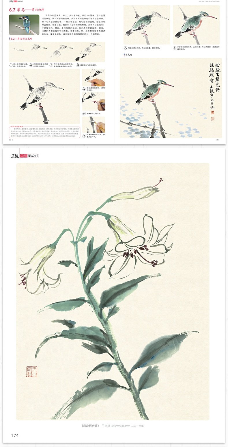 国画技法入门含视频同步初学者零基础自学写意画动物花鸟牡丹梅兰竹菊