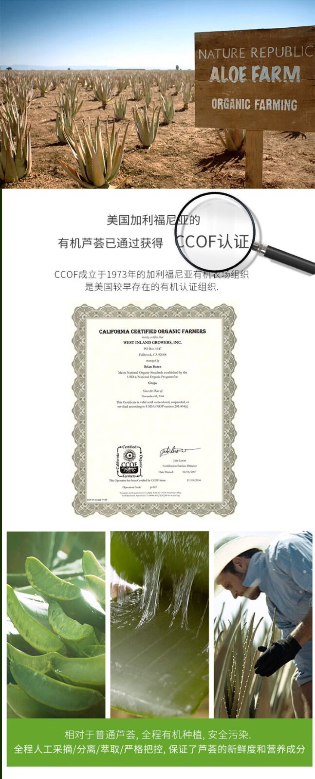 自然乐园（NATURE REPUBLIC）芦荟胶抗痘淡印舒缓保湿凝胶全身面部秋冬季补水面霜晒后修护 250ml