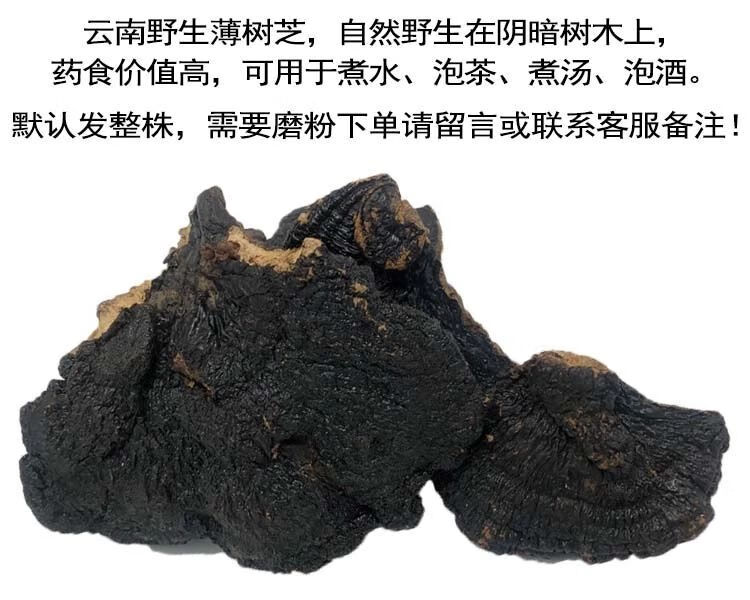 熙圣堂*薄盖灵芝云南薄盖灵芝 薄树灵芝薄树芝整枝可选切块 野生薄树