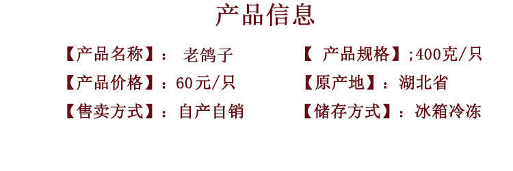 【精品冷运】鸽子批发鸽肉农家散养冷鲜运输坏单包赔乳鸽下单新鲜鸽子