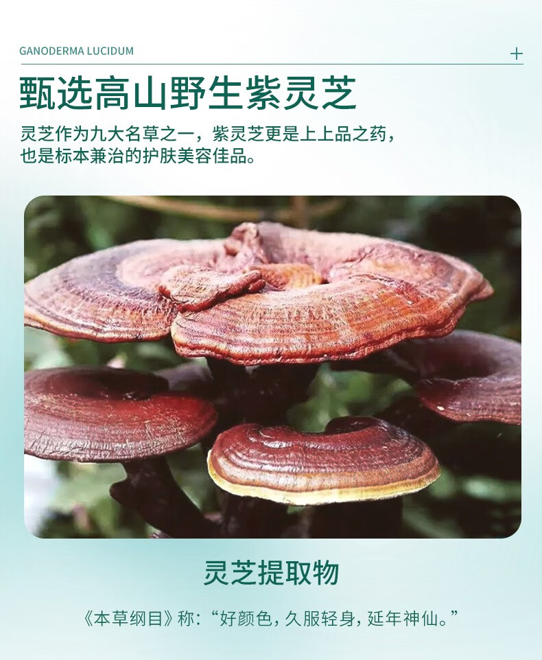 MOZX陌妆 灵芝精华爽肤水改善粗糙补水保湿收细毛孔提亮肤色淡细纹 120ml*1盒