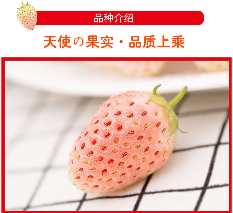 白草莓淡雪草莓日本白雪公主奶油草莓新鲜水果礼盒装2