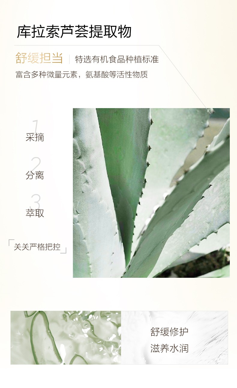 一叶子（one leaf） 精华液烟酰胺提亮肤色补水保湿面部精华滋养改善透亮女学生秋冬熬夜护肤精华 熬夜精华60ml