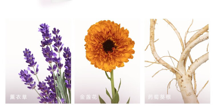 茱莉蔻（JURLIQUE） 茱莉蔻 玫瑰+薰衣草护手霜15ml*2 秋冬滋润保湿补水组合体验装