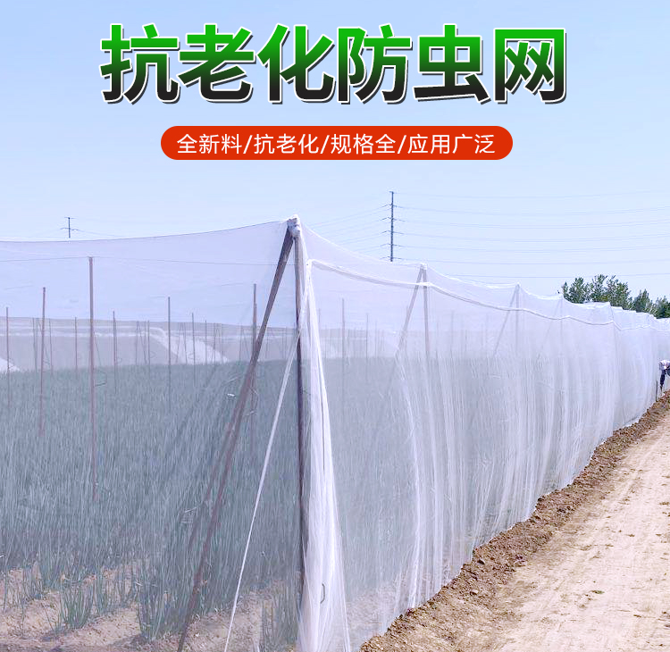 蔬菜大棚防虫网果树果园网罩养猪场防蚊网防虫纱网抗老化加密加厚碧